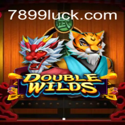 DoubleWilds Game Overview and Rules on 899Luck.COM Platform
