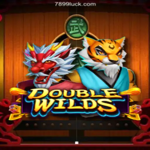 DoubleWilds Game Overview and Rules on 899Luck.COM Platform