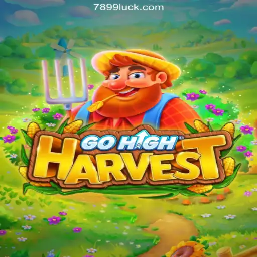 GoHighHarvest: An Intriguing New Entry in Online Gaming